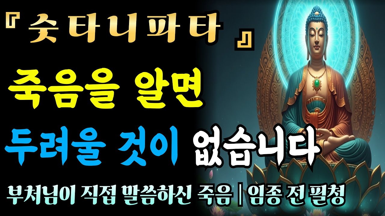 [자면서듣는불경] 숫타니파타,죽음의 본질을 이해하면 두려움이 사라집니다 | 불교 가르침