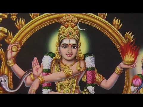 அம்பலத்தரசே  வள்ளலார் திருவருட்பா Ambalatharase Thiruvarutpa by Saint Vallalar