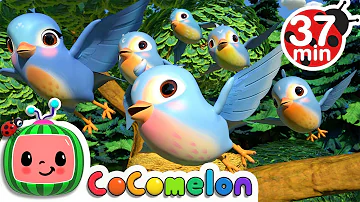 Five Little Birds 3 + More Nursery Rhymes & Kids Songs - CoComelon