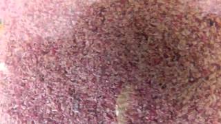 特売！フカセ釣り用集魚剤1.5ｋｇ