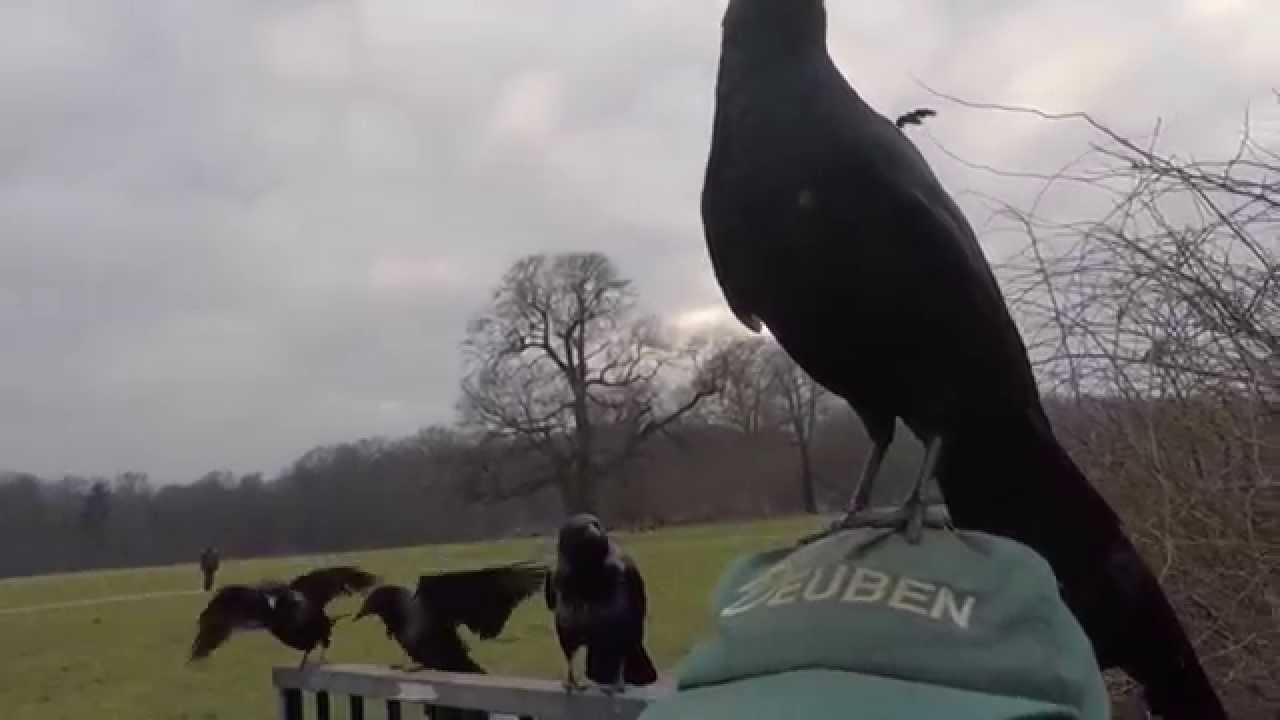 Freitag, der 13.  / Friday the 13th