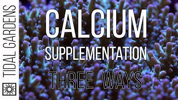 Calcium Supplementation 3 Ways - Kalkwasser, 2-Part, and Calcium Reactors