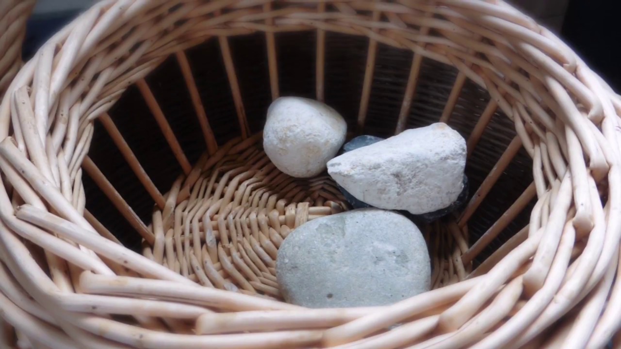 Visafslag compilatie seizoen 2017