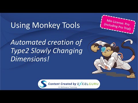 Using Monkey Tools - No-code Type 2 Slowly Changing Dimensions for Power Pivot models