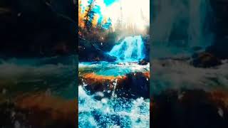 Nature Whatsapp Status Video Full-Screen Hd 4K Relaxing Nature Status Trendz Statuz Choiez