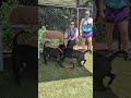 Kirby 🦇 grumbles while playing with Queen Latifa 👑 #06242026