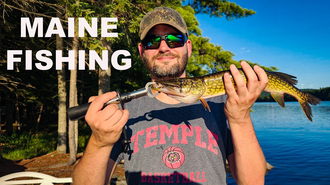 Maine Fishing for HUGE Largemouth Bass & Chain Pickerel 