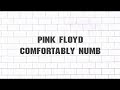 "Comfortably Numb" Pink Floyd guitar tabs (w/lyrics)