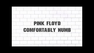 &quot;Comfortably Numb&quot; Pink Floyd guitar tabs (w/lyrics)