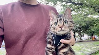 1人ぼっちが寂しいので猫と公園デートしたら楽しすぎたw
