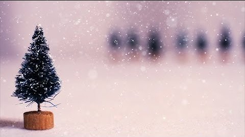 Motionbolt.com - Single Christmas Tree