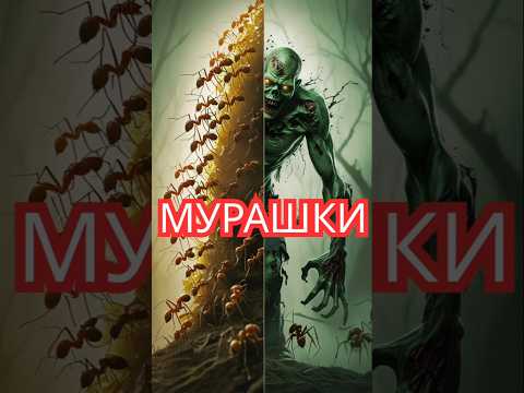 Муравьи Зомби....#гриб #паразит