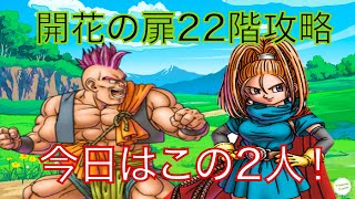 【ドラクエタクト】開花の扉22巻、英雄パーティーで攻略&バラモスゾンビ10連！
