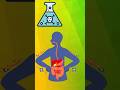हमारे पेट में बना गैस्ट्रिक एसिड (hydrochloric acid, HCl) कितना ताकतवर है! / #hindi #science #facts