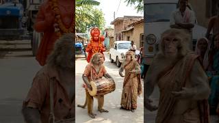 Village Miracle Monkey Playing Dhol & Female Monkey Dancing In Devotion