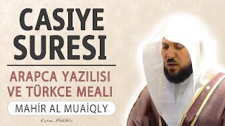 Casiye suresi anlamı dinle Mahir al Muaiqly (Casiye suresi arapça yazılışı okunuşu ve meali)