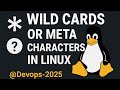 Wildcards &amp; Meta Characters in Linux 
