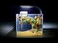 How To Build A Mini Desk Aquarium at home
