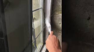 How to paint landlord special part 4 #painteranddecorator #landlordspecial #labdogs