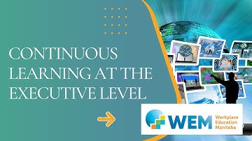 Continuous Learning At the Executive Level
