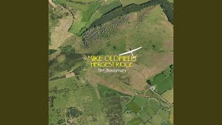 Hergest Ridge: Part Two (2010 Stereo Mix)