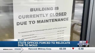 State offices forced to temporarily relocate due to mold growth in Bolton State Office Building