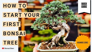 “Bonsai Basics: How to Start Your First Bonsai Tree”