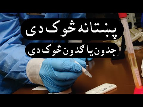 Gadoon/ Jadoon Sok Di ? : By Khalid Khan
