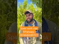 #foryou #fruit #india #ytshorts #trendingshorts #viral #shorts #newvideo #new #spainvisa