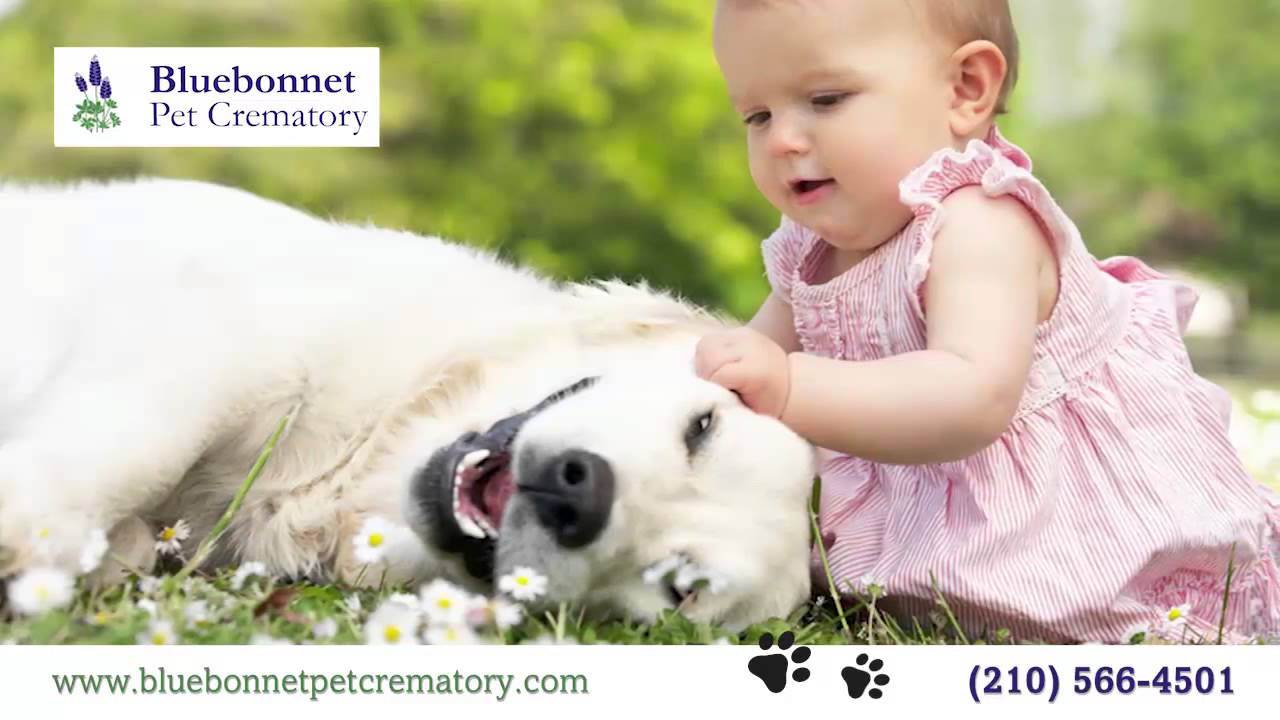 Bluebonnett Pet Crematory