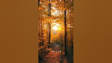قران كريم ارح قلبك وسمعك #قران_في_دقيقة #يوسف_اوزيت #المصحف #quran #قرآن @قران_في_دقيقة