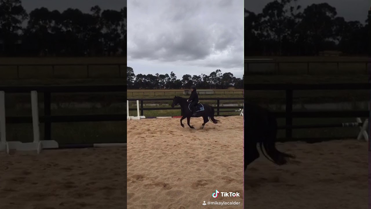 Horse riding YouTube
