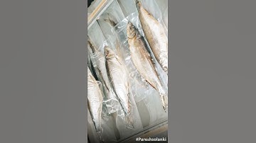 Top 7 Countries for Fish Export