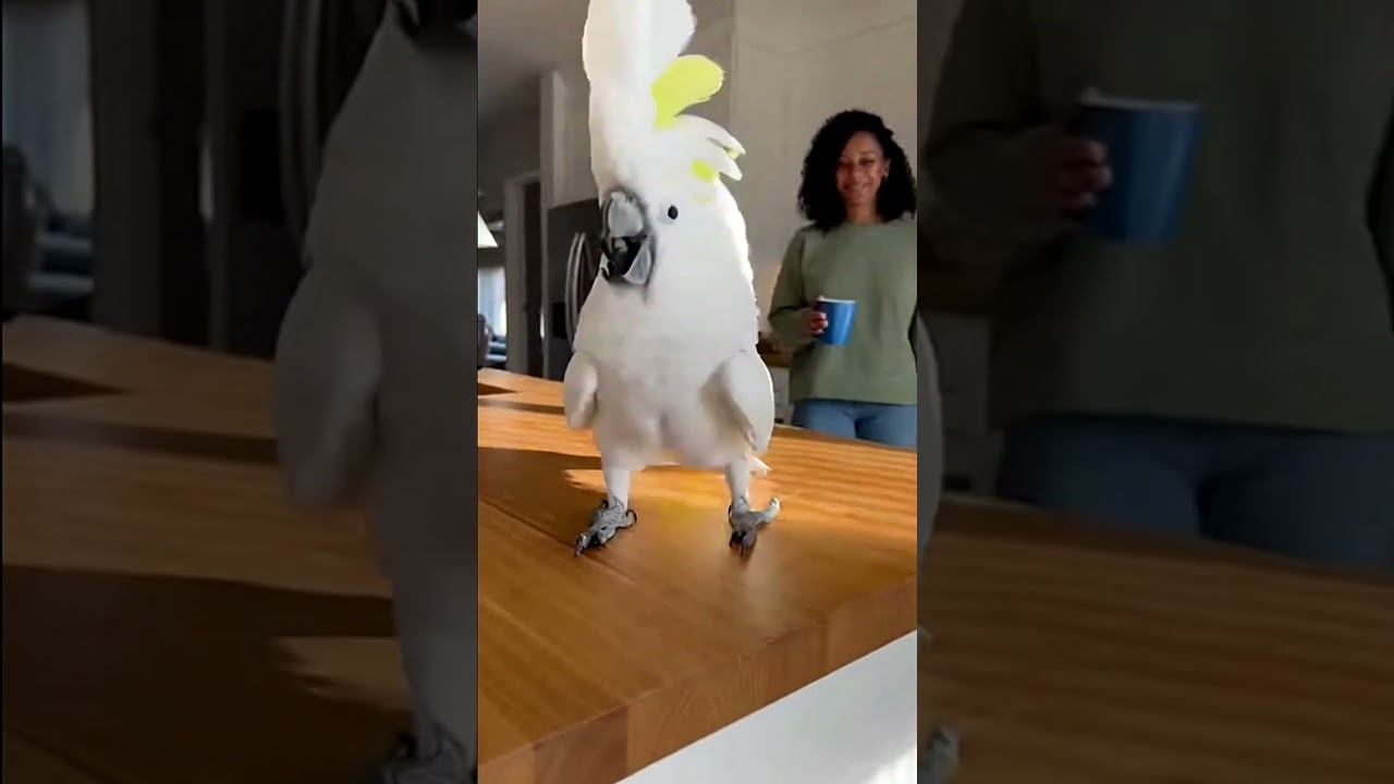 Dance Turned Beat Into Lifestyle