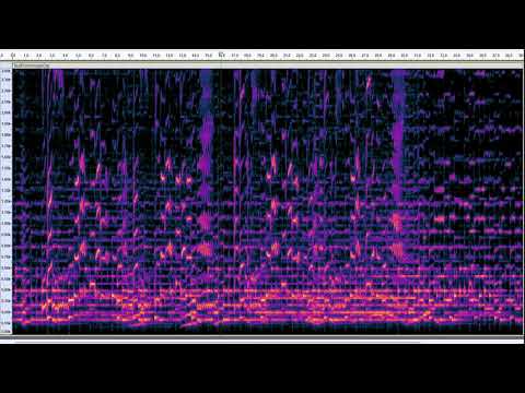 Duet Featuring Banjo, Cello, and Voice, with Audacity Spectrogram Settings
