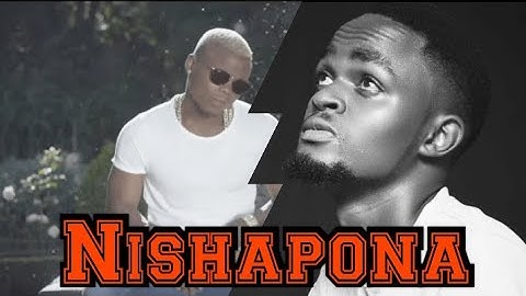 Harmonize-Nishapona (Official Video)