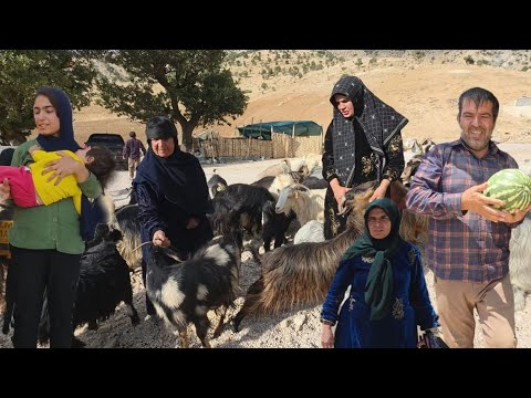 Learn the secret of nomadic life from grandma | Real nomadic life