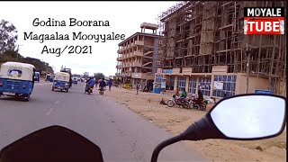 Godina Boorana Magaalaa Mooyyalee'Moyale town' Aug/2021