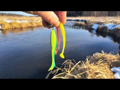 THEY ARE BITING!!! Spinning fishing. Pike fishing on a small river after spawning. Jig, New season!