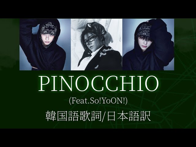 SEVENTEEN / セブチ/ 日本語字幕 / 歌詞和訳 / 日本語訳 / 韓国