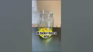 Day 16 #3dprinting one #duck for every subscriber I get. Printed on my #bambulab