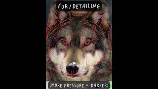 Proportion(s) Tutorial: Wolf Sketch #art #artist #drawing #sketch #pencildrawing #tutorial