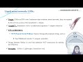 ICDTDE2025 – 509 – Investigating the Combination of Reinforcement Learning with Liquid Neural