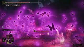 Elden Ring New Playthrough Beautiful Y Knight Mage Slaying Scawee Big Bug