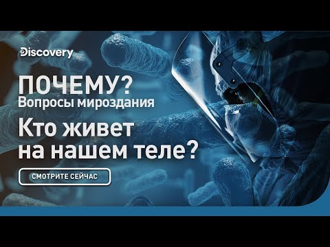 Кто живет на нашем теле? | Почему? Вопросы мироздания | Discovery