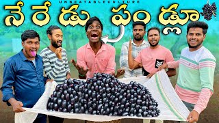 నరడ పడల Unbeatableculturevideoneredupandluvideocomedyvideounbeatableculturevlogs