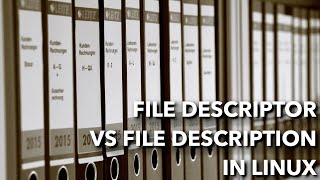 File descriptor vs File description in Linux