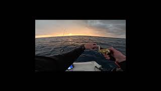 ΦΑΓΓΡΙ YAMAGA BLANKS GALAHAD SLOW GLOBAL 621 106m #heartyrise #slowpitch #spj #mancing #jigging