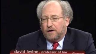 Interview.  Law Professor David Levine Discusses Supreme Court Cases on Race