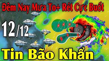 Đêm Nay Mưa To Rét Cực Buốt Tin Bão Khẩn | Dự báo thời tiết ngày 12/12 | thời tiết 15 ngày Tới